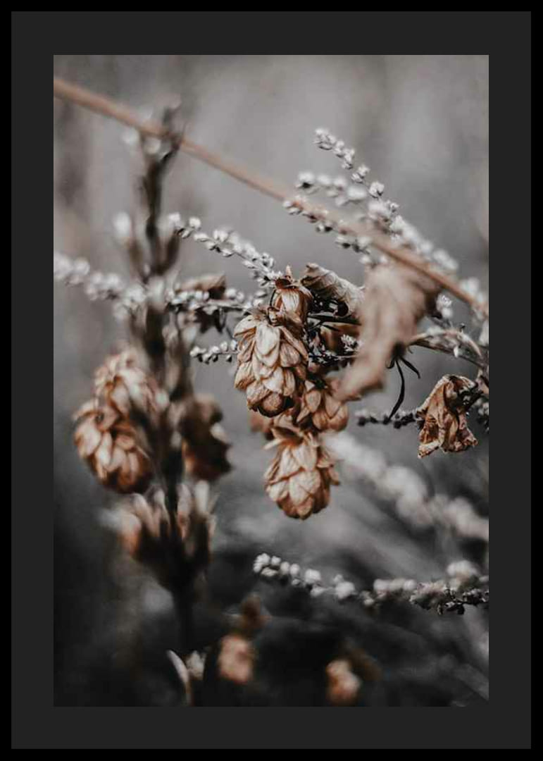 Nærbilde av tørkede planter i beige og brune høsttoner-12