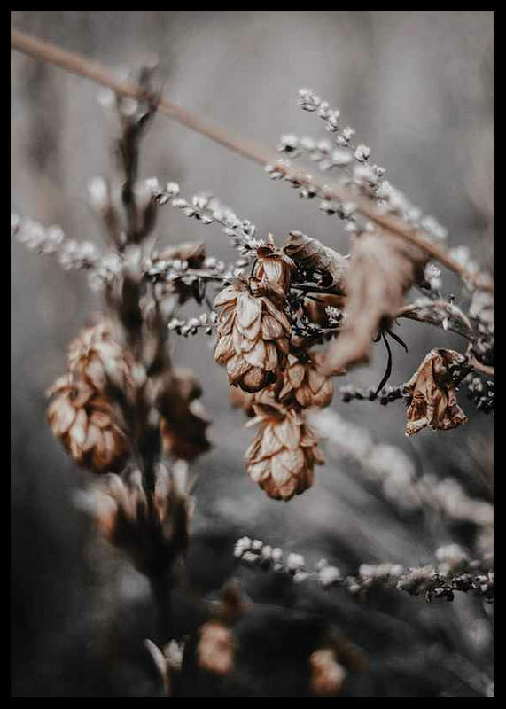 Autumn arrival-12