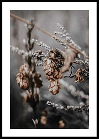 Autumn arrival-0