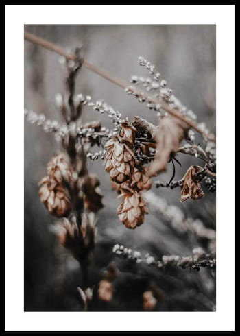 Poster Autumn arrival