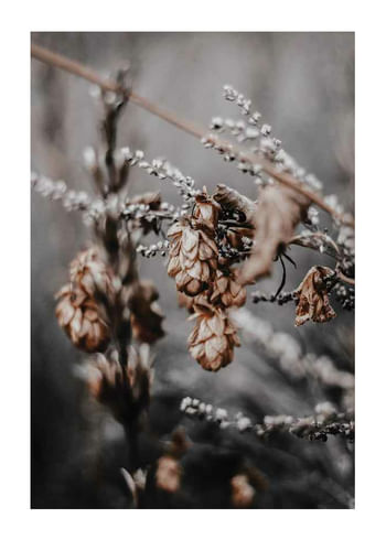Plakat Autumn arrival