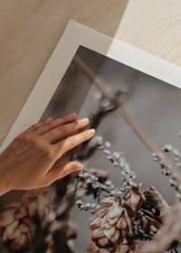 Zbliżenie suszonych roślin w beżowych i brązowych odcieniach jesieni-9