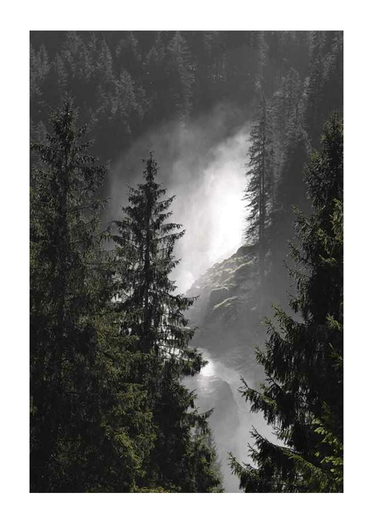 Foto eines Wasserfalls zwischen hohen Tannen in einer Waldlandschaft-12