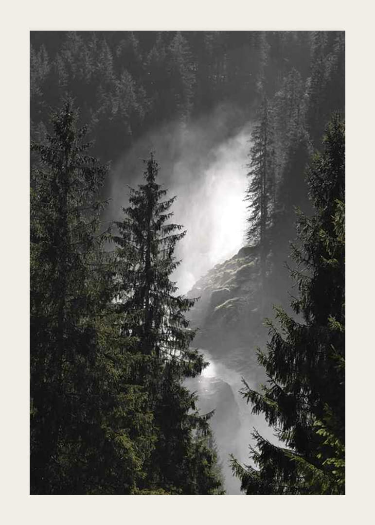 Photograph of waterfall among tall fir trees in forest landscape-12