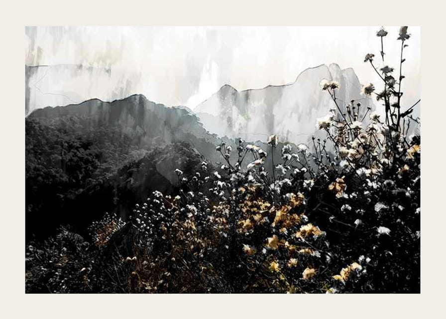 Ilustrație pictată a peisajului montan cu flori sălbatice de toamnă-12