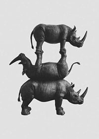 Black and white illustration of three stacked rhinos, stylish-7