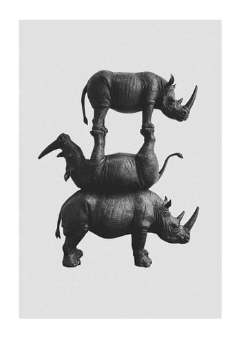 Juliste Three Rhinos