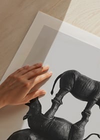 Black and white illustration of three stacked rhinos, stylish-9