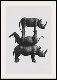 Tyylikäs mustavalkoinen kuva kolmesta päällekkäin pinotusta sarvikuonosta-2