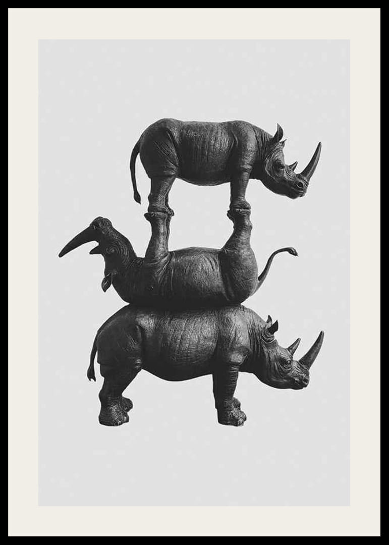 Tyylikäs mustavalkoinen kuva kolmesta päällekkäin pinotusta sarvikuonosta-12