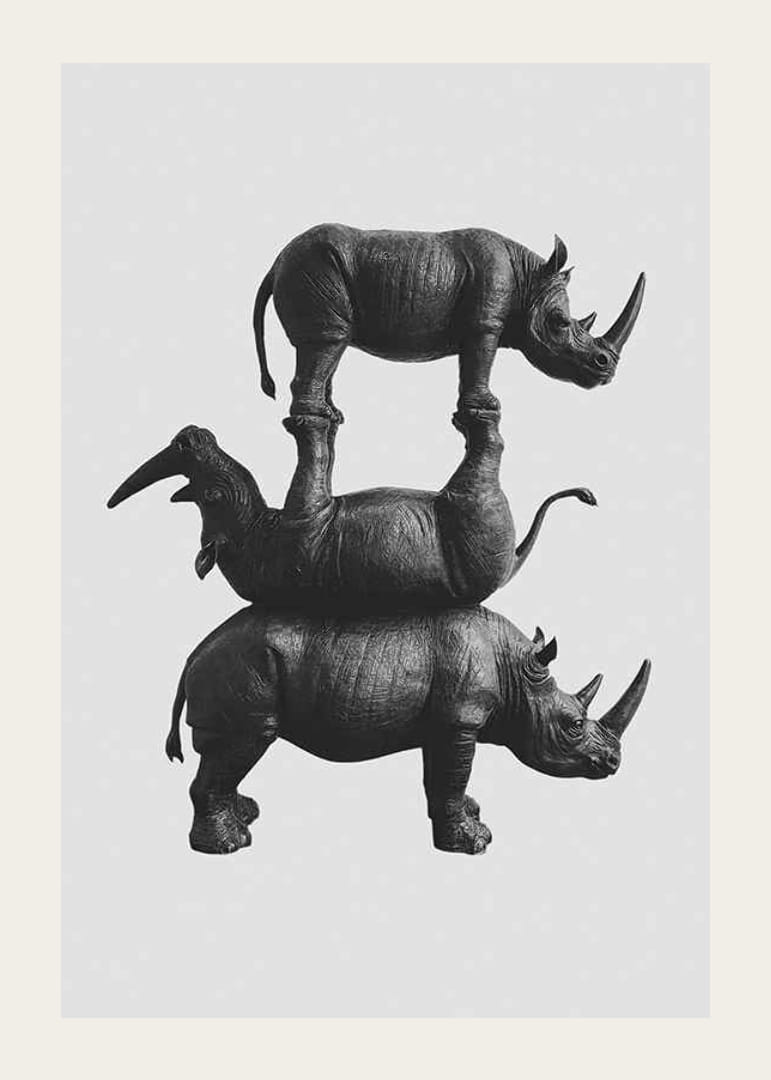 Tyylikäs mustavalkoinen kuva kolmesta päällekkäin pinotusta sarvikuonosta-12