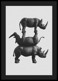 Tyylikäs mustavalkoinen kuva kolmesta päällekkäin pinotusta sarvikuonosta-4