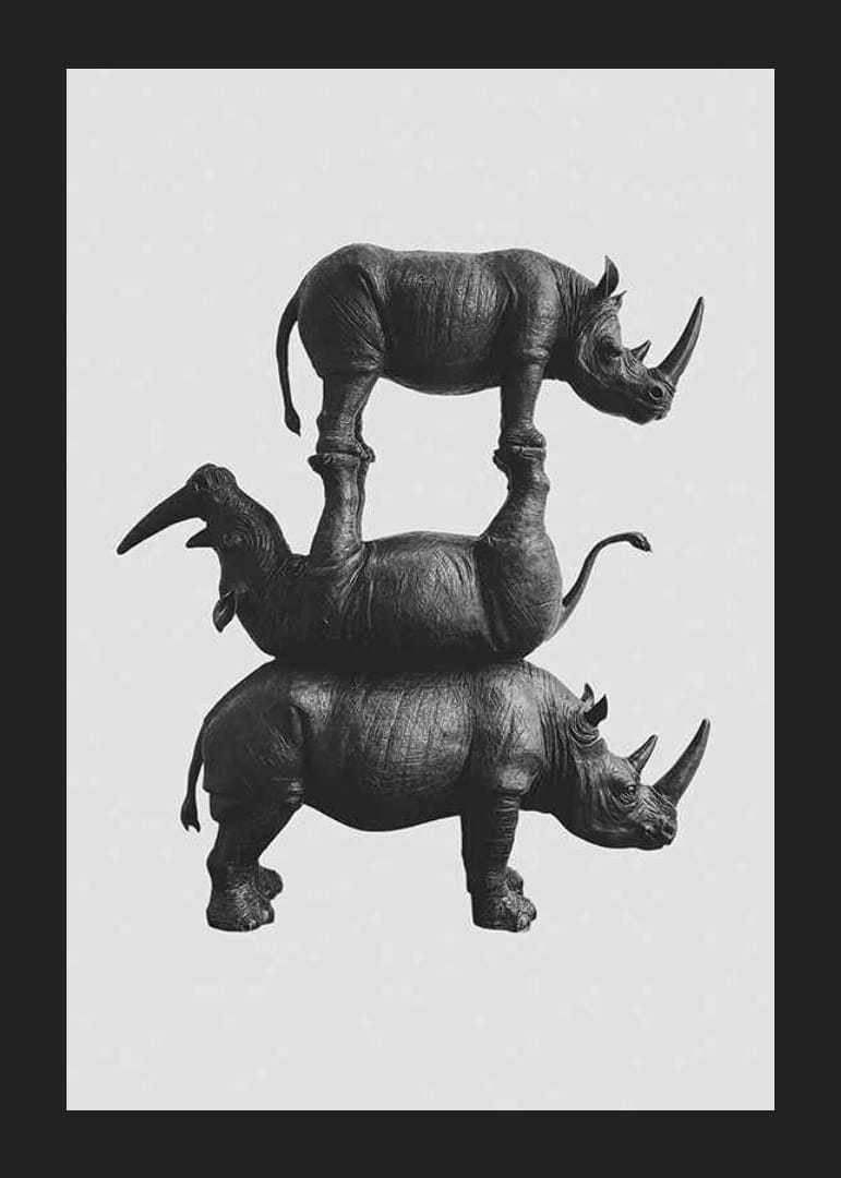 Tyylikäs mustavalkoinen kuva kolmesta päällekkäin pinotusta sarvikuonosta-12