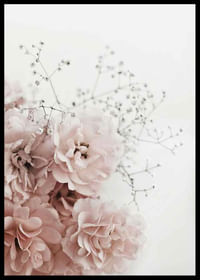 Roses In Pink-2