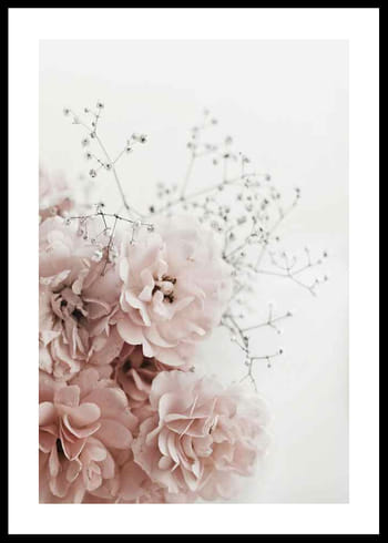 Plakat Roses In Pink