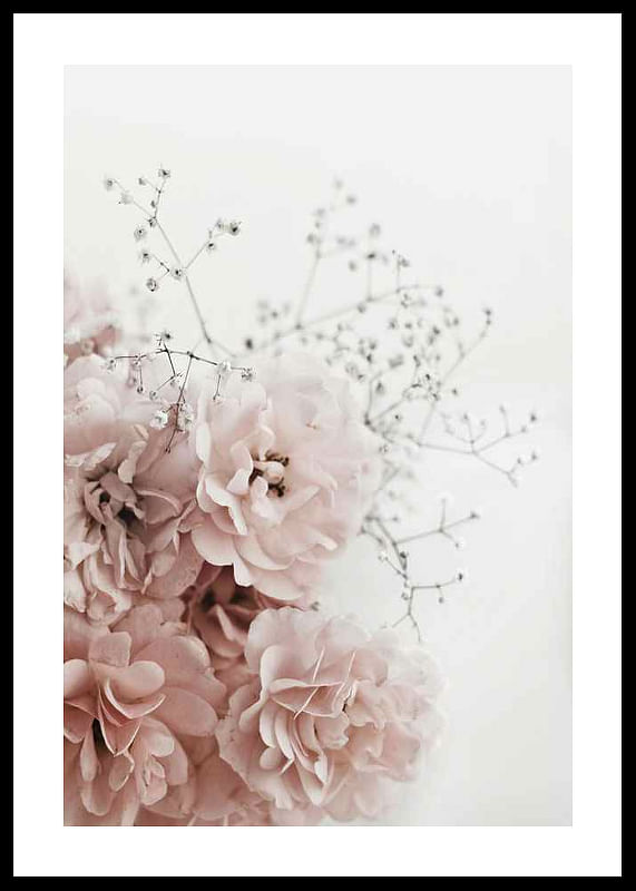 Roses In Pink-12