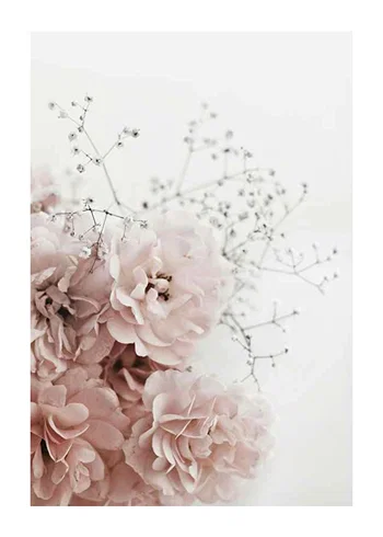Poster Roses In Pink