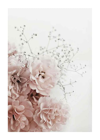 Poster Roses In Pink