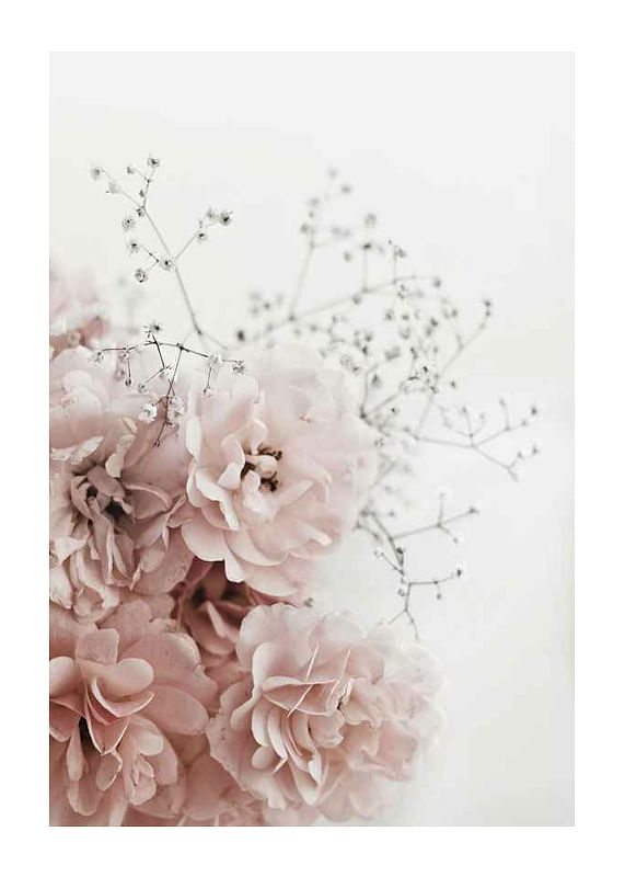Roses In Pink-12