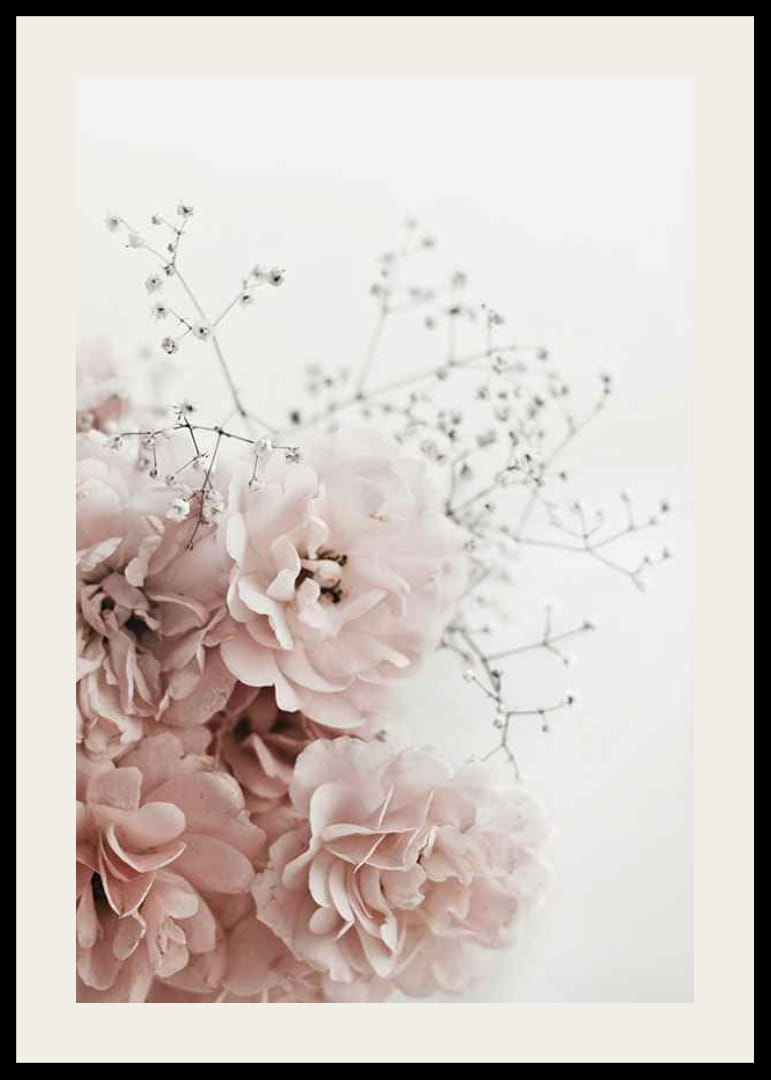 Fotografisk nærbillede af lyserøde roser og brudeslør mod hvid baggrund-12