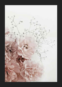 Fotografisk nærbillede af lyserøde roser og brudeslør mod hvid baggrund-5