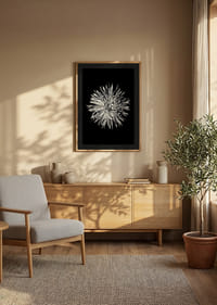 Black and white close-up of dahlia with clear petals-8