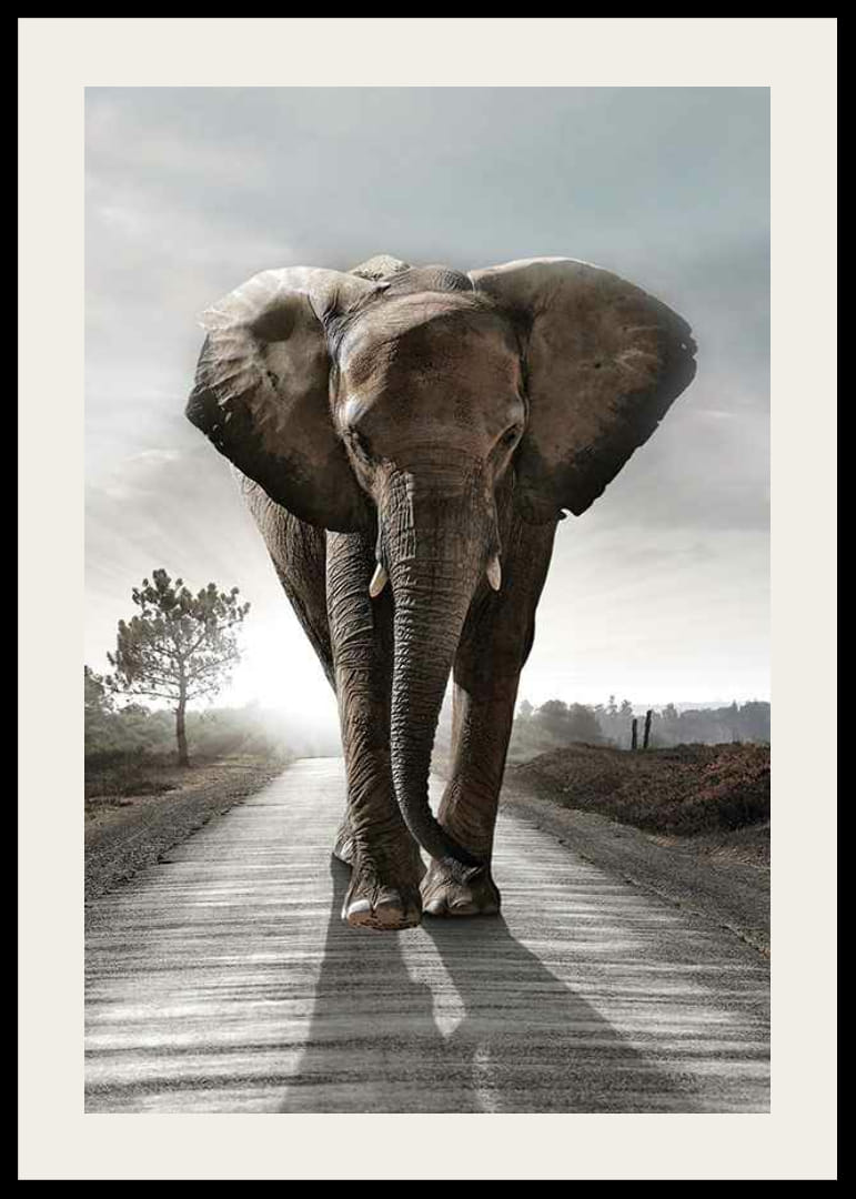 Stattlicher Elefant auf Landstraße im Gegenlicht, fotografischer Stil-12