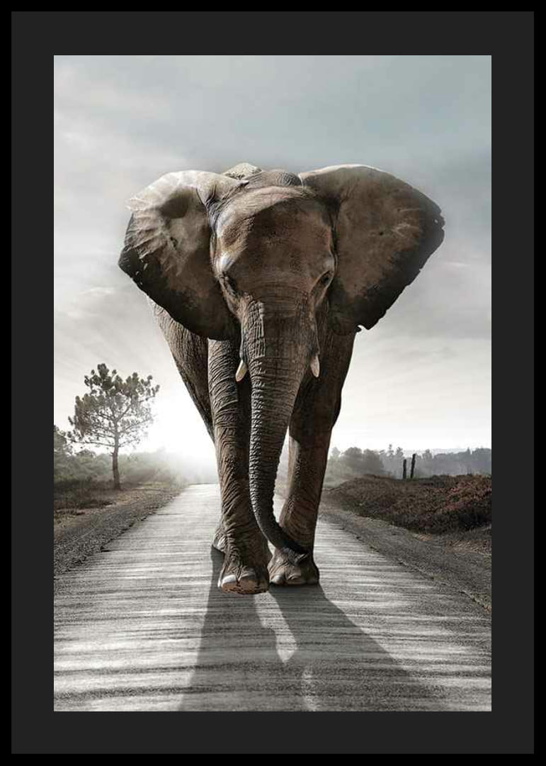 Stattlicher Elefant auf Landstraße im Gegenlicht, fotografischer Stil-12