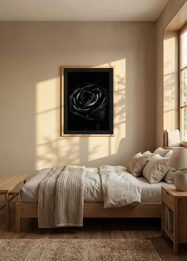 Poster Black Rose crossfade