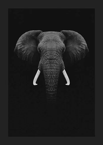 Poster Black Elephant