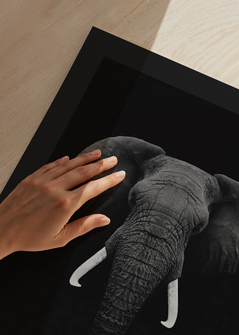 Black and white portrait of elephant with white tusks on dark background-12