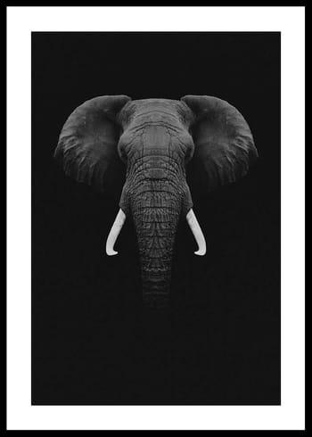 Poster Black Elephant