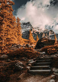 Rudens meža fotogrāfija ar akmens taku un sniegotiem kalniem-7