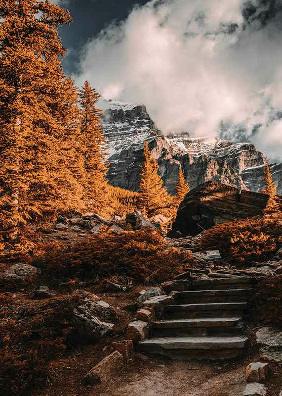 Rudens meža fotogrāfija ar akmens taku un sniegotiem kalniem-12