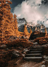 Autumn Wilderness-3