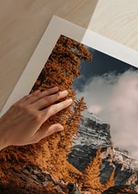 Rudens meža fotogrāfija ar akmens taku un sniegotiem kalniem-9