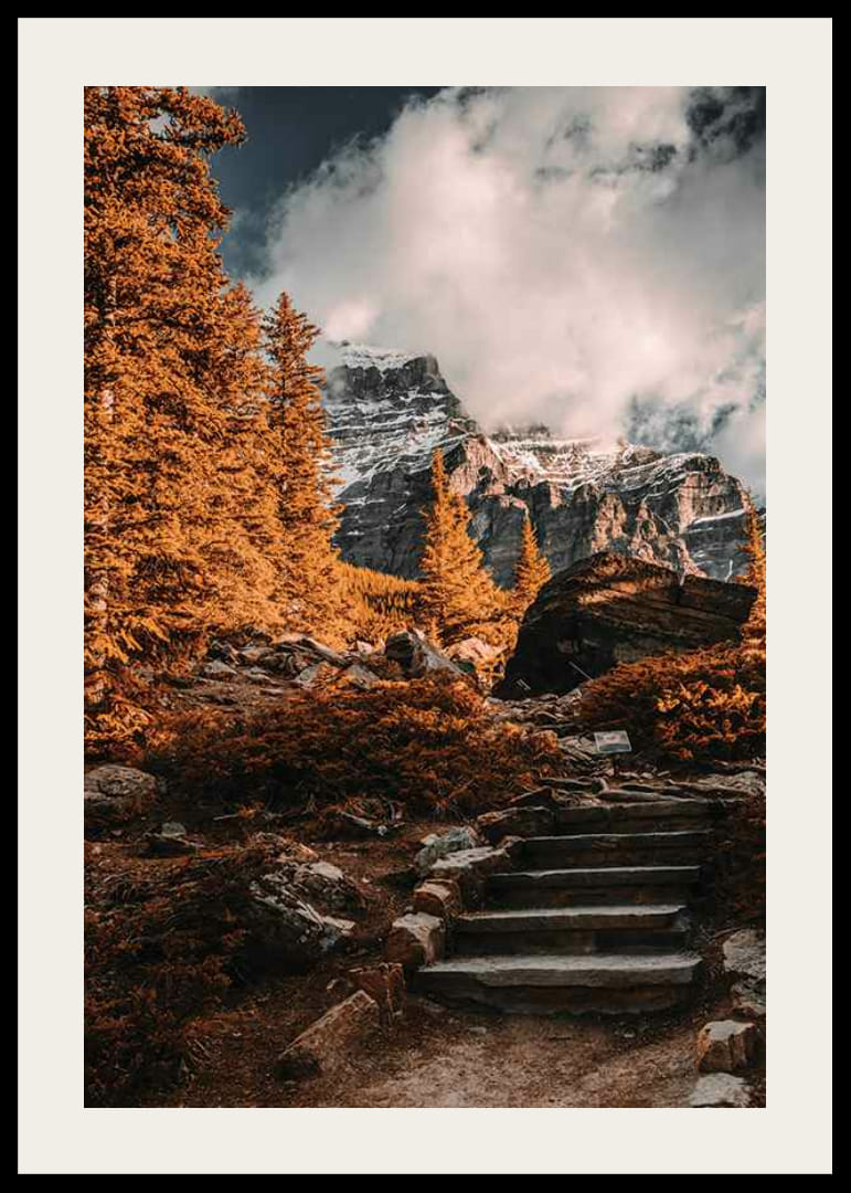 Photograph of autumn forest with stone path and snow-capped mountains-12