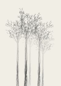 Sketched Trees-3