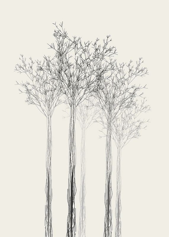 Sketched Trees-12