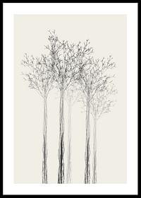 Sketched Trees-0