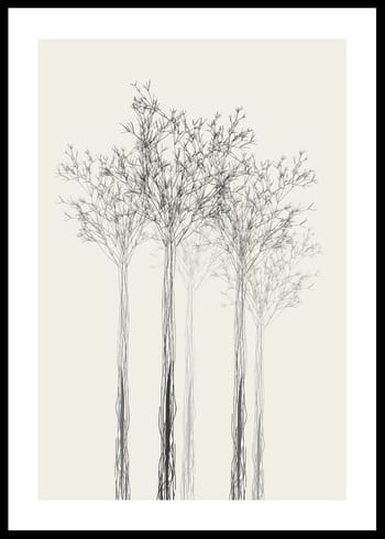 Poster Sketched Trees