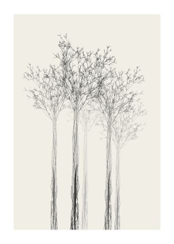 Plakat Sketched Trees