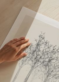 Sketched Trees-5