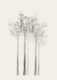 Vázlatos fák vékony ágakkal homokszínű háttéren-3