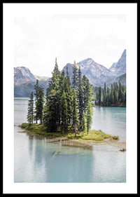 Fotografia di una foresta di abeti rossi su una piccola isola in un lago azzurro e limpido con montagne-0