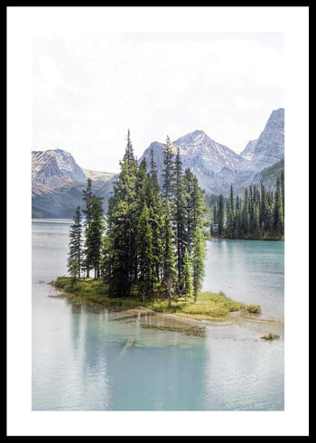 Poster Spirit Island