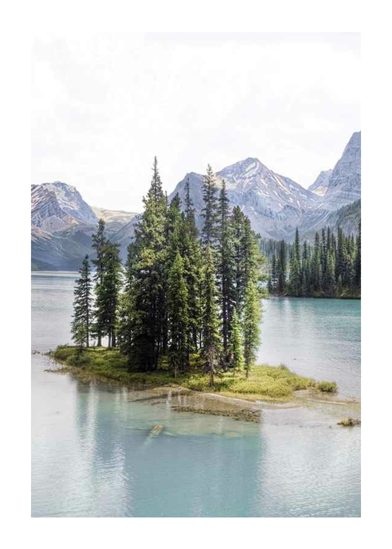 Fotografia di una foresta di abeti rossi su una piccola isola in un lago azzurro e limpido con montagne-12