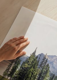 Fotografia di una foresta di abeti rossi su una piccola isola in un lago azzurro e limpido con montagne-9