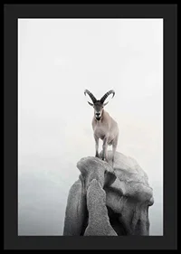 Photographic ibex with curved horns on cliff, foggy background-4