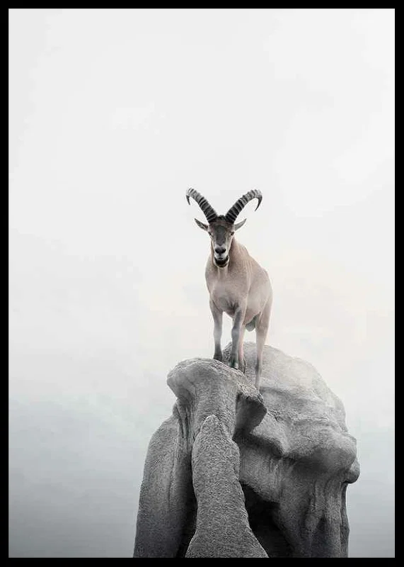 Photographic ibex with curved horns on cliff, foggy background-12